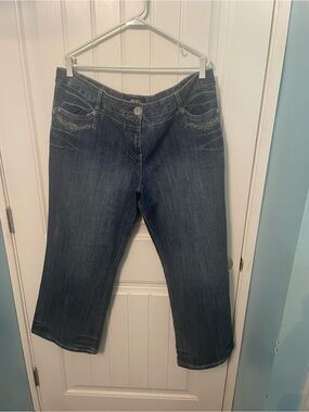 Plus Size y2k Capri Jean